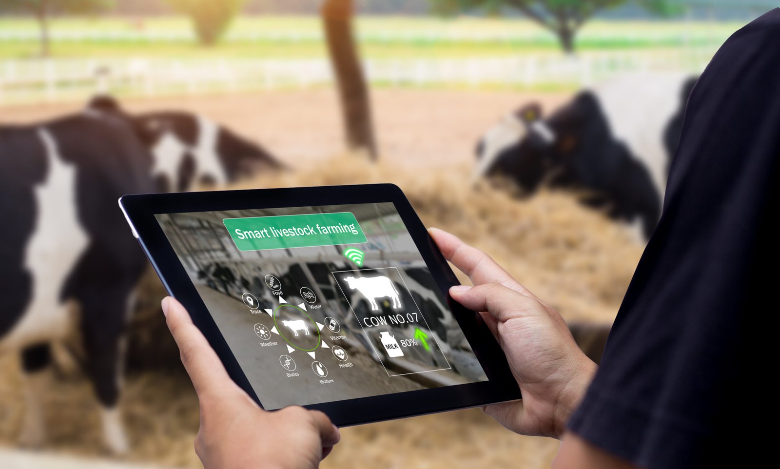 Sección 34 de la NIIF para PYMES: agricultura, activos biológicos y otras actividades especializadas